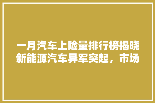 一月汽车上险量排行榜揭晓新能源汽车异军突起，市场格局再掀波澜