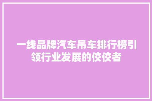 一线品牌汽车吊车排行榜引领行业发展的佼佼者  第1张