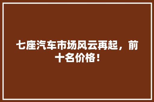 七座汽车市场风云再起，前十名价格！  第1张