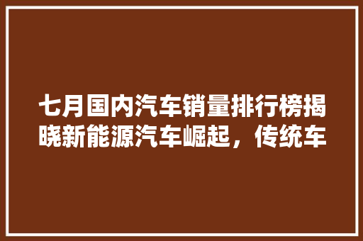 七月国内汽车销量排行榜揭晓新能源汽车崛起，传统车企转型升级  第1张
