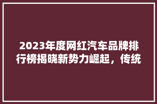 2023年度网红汽车品牌排行榜揭晓新势力崛起，传统品牌转型