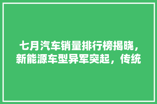 七月汽车销量排行榜揭晓，新能源车型异军突起，传统车企面临挑战
