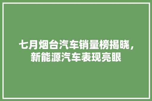 七月烟台汽车销量榜揭晓，新能源汽车表现亮眼