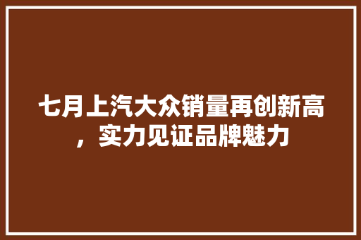 七月上汽大众销量再创新高，实力见证品牌魅力