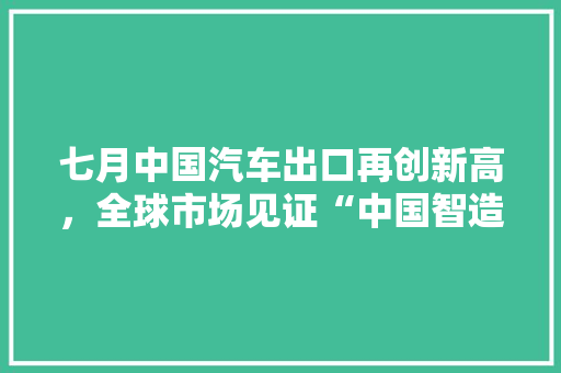 七月中国汽车出口再创新高，全球市场见证“中国智造”魅力  第1张