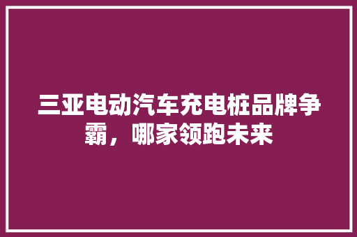三亚电动汽车充电桩品牌争霸，哪家领跑未来
