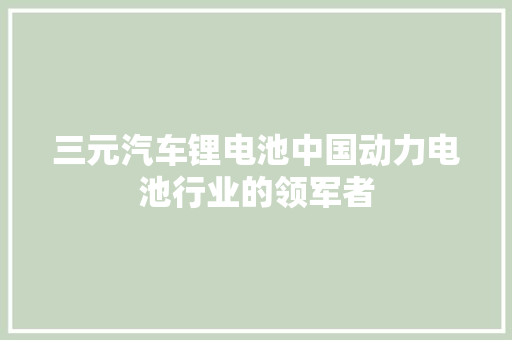 三元汽车锂电池中国动力电池行业的领军者