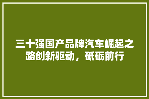 三十强国产品牌汽车崛起之路创新驱动，砥砺前行