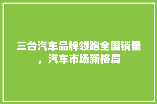 三台汽车品牌领跑全国销量，汽车市场新格局  第1张