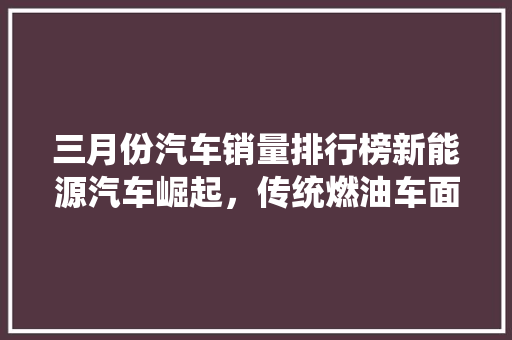 三月份汽车销量排行榜新能源汽车崛起，传统燃油车面临挑战  第1张