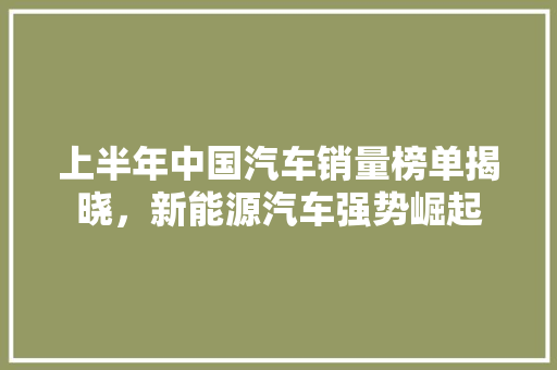 上半年中国汽车销量榜单揭晓，新能源汽车强势崛起