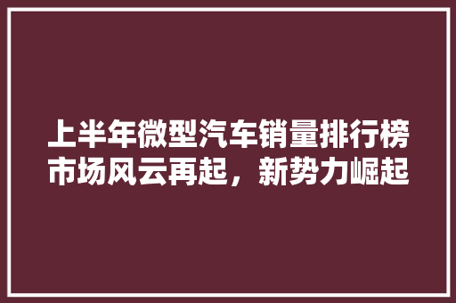 上半年微型汽车销量排行榜市场风云再起，新势力崛起