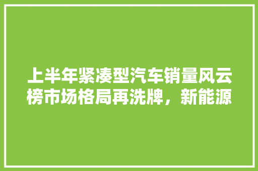 上半年紧凑型汽车销量风云榜市场格局再洗牌，新能源汽车崛起