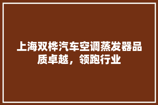 上海双桦汽车空调蒸发器品质卓越，领跑行业