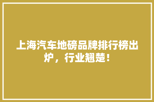 上海汽车地磅品牌排行榜出炉，行业翘楚！