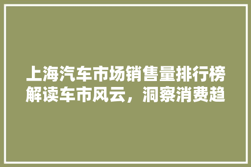 上海汽车市场销售量排行榜解读车市风云，洞察消费趋势