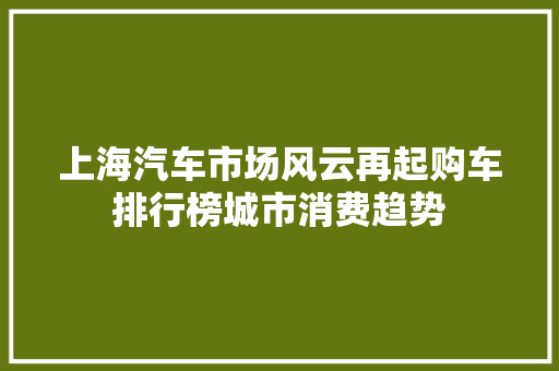 上海汽车市场风云再起购车排行榜城市消费趋势