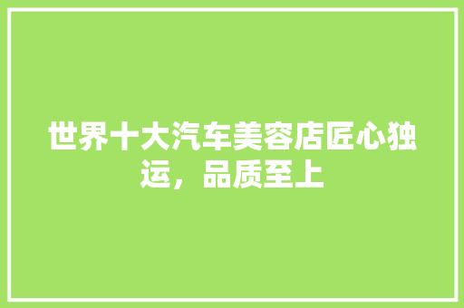 世界十大汽车美容店匠心独运，品质至上