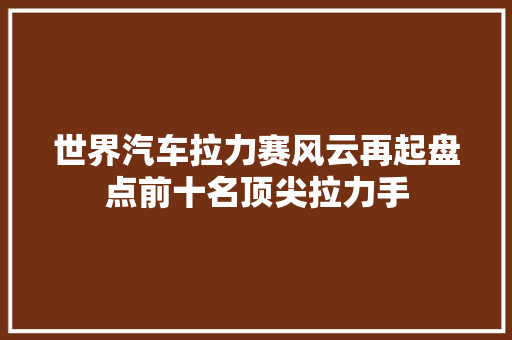 世界汽车拉力赛风云再起盘点前十名顶尖拉力手