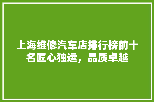 上海维修汽车店排行榜前十名匠心独运，品质卓越