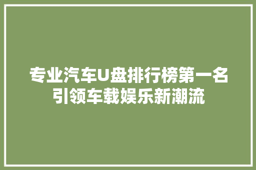 专业汽车U盘排行榜第一名引领车载娱乐新潮流