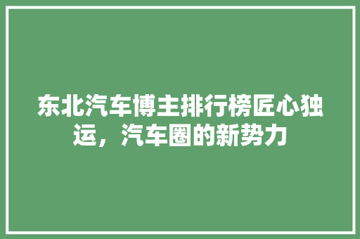 东北汽车博主排行榜匠心独运，汽车圈的新势力