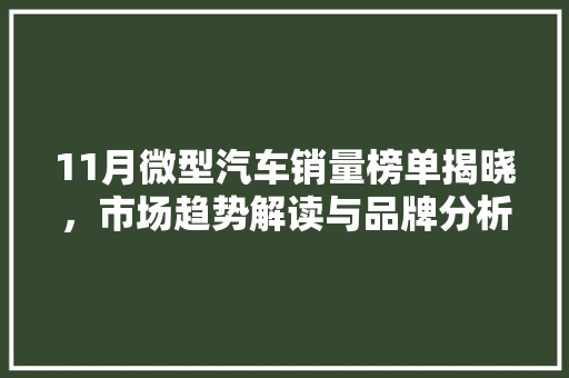 11月微型汽车销量榜单揭晓，市场趋势解读与品牌分析