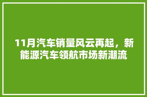11月汽车销量风云再起，新能源汽车领航市场新潮流