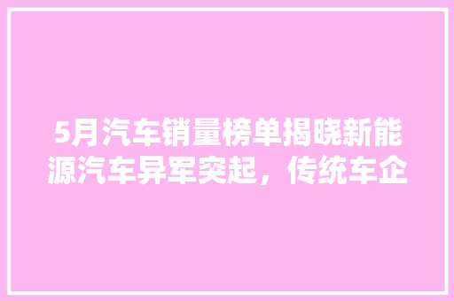 5月汽车销量榜单揭晓新能源汽车异军突起，传统车企面临挑战