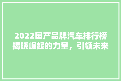 2022国产品牌汽车排行榜揭晓崛起的力量，引领未来  第1张