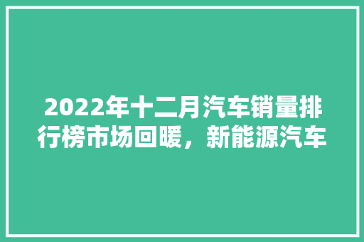 2022年十二月汽车销量排行榜市场回暖，新能源汽车崛起