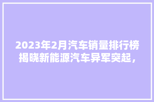 2023年2月汽车销量排行榜揭晓新能源汽车异军突起，市场格局重塑