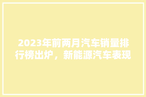 2023年前两月汽车销量排行榜出炉，新能源汽车表现亮眼