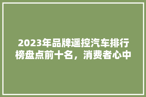 2023年品牌遥控汽车排行榜盘点前十名，消费者心中的“速度与激情”