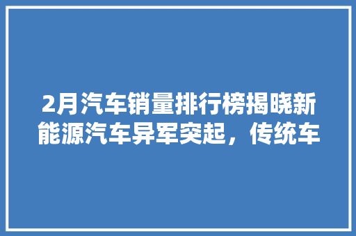 2月汽车销量排行榜揭晓新能源汽车异军突起，传统车企面临挑战  第1张