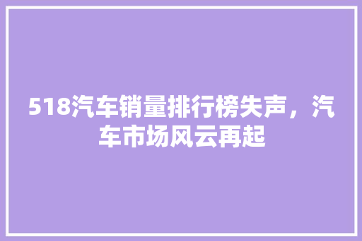 518汽车销量排行榜失声，汽车市场风云再起  第1张
