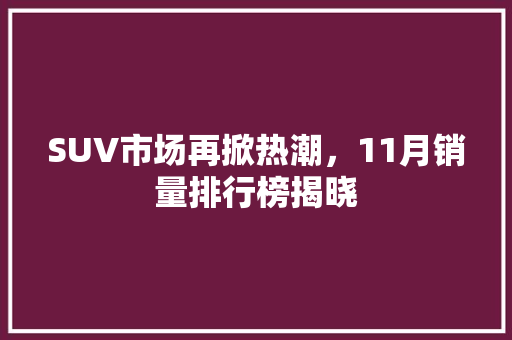 SUV市场再掀热潮，11月销量排行榜揭晓