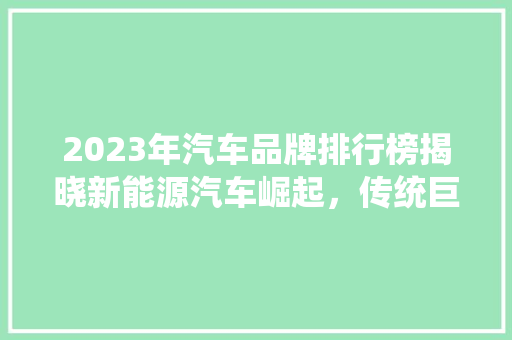 2023年汽车品牌排行榜揭晓新能源汽车崛起，传统巨头稳居前列  第1张