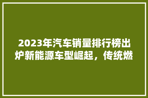 2023年汽车销量排行榜出炉新能源车型崛起，传统燃油车市场面临挑战  第1张