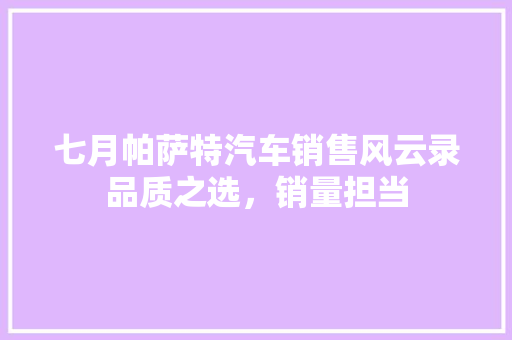 七月帕萨特汽车销售风云录品质之选，销量担当