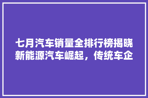 七月汽车销量全排行榜揭晓新能源汽车崛起，传统车企转型加速