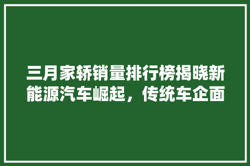 三月家轿销量排行榜揭晓新能源汽车崛起，传统车企面临挑战  第1张