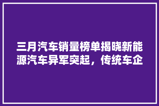 三月汽车销量榜单揭晓新能源汽车异军突起，传统车企面临挑战  第1张