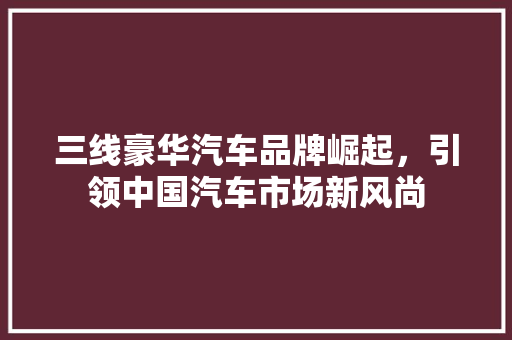 三线豪华汽车品牌崛起，引领中国汽车市场新风尚