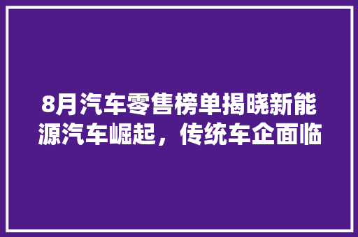 8月汽车零售榜单揭晓新能源汽车崛起，传统车企面临挑战  第1张