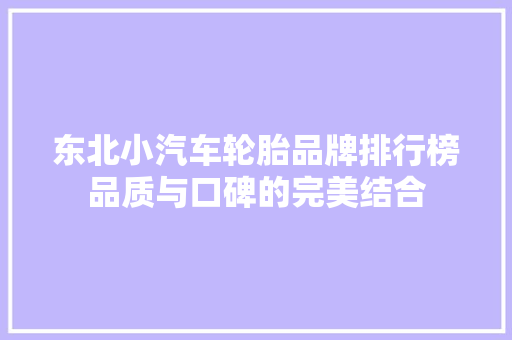 东北小汽车轮胎品牌排行榜品质与口碑的完美结合
