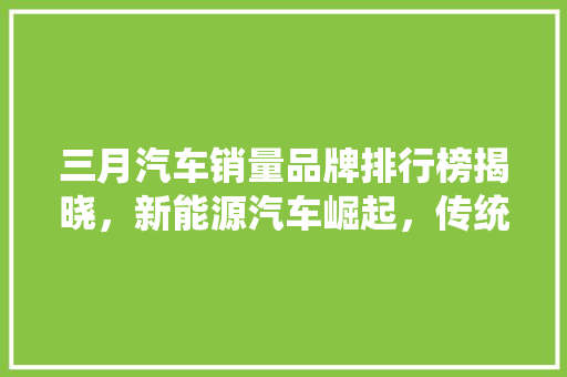 三月汽车销量品牌排行榜揭晓，新能源汽车崛起，传统车企面临挑战