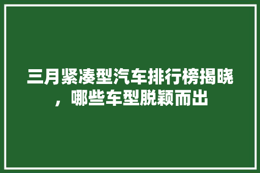 三月紧凑型汽车排行榜揭晓，哪些车型脱颖而出