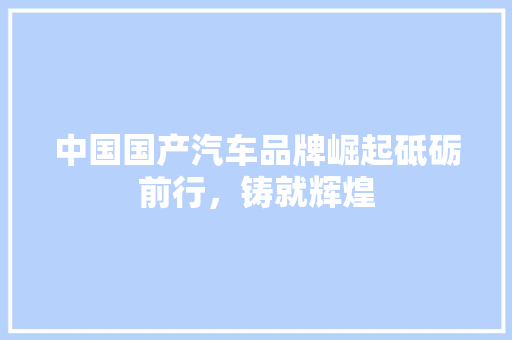 中国国产汽车品牌崛起砥砺前行，铸就辉煌