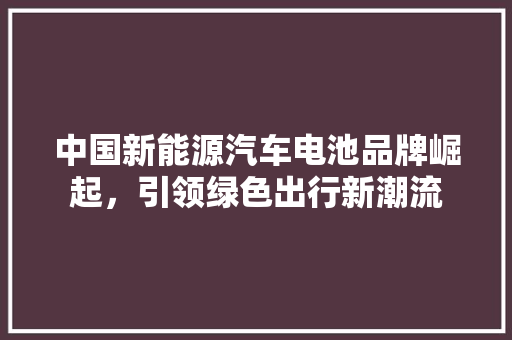 中国新能源汽车电池品牌崛起，引领绿色出行新潮流